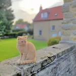 Cliff House * Ebberston