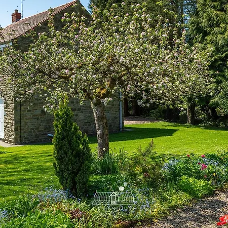 Dom wakacyjny Cliff House