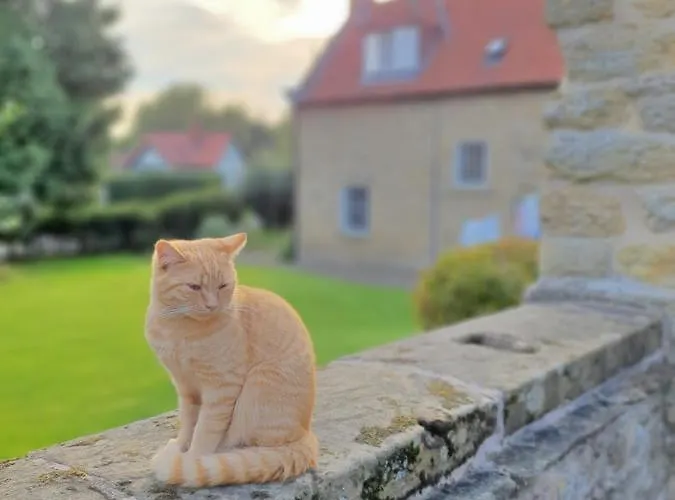 Cliff House * Ebberston