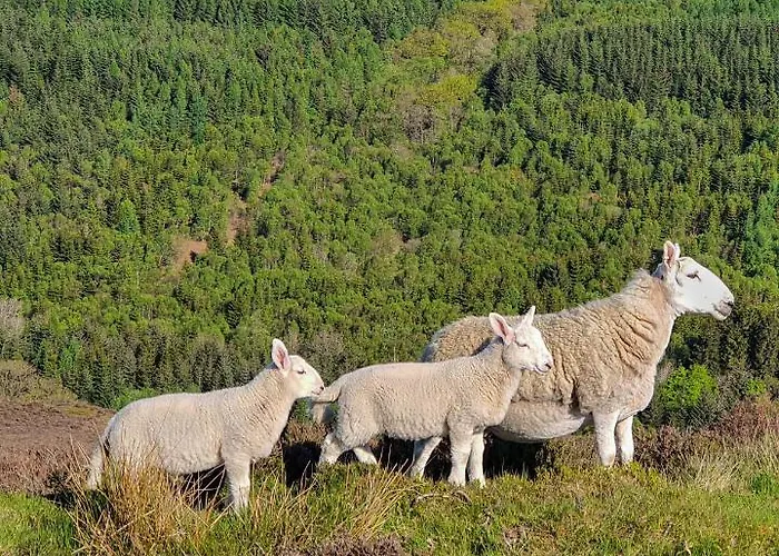 Cliff House Holiday home Ebberston