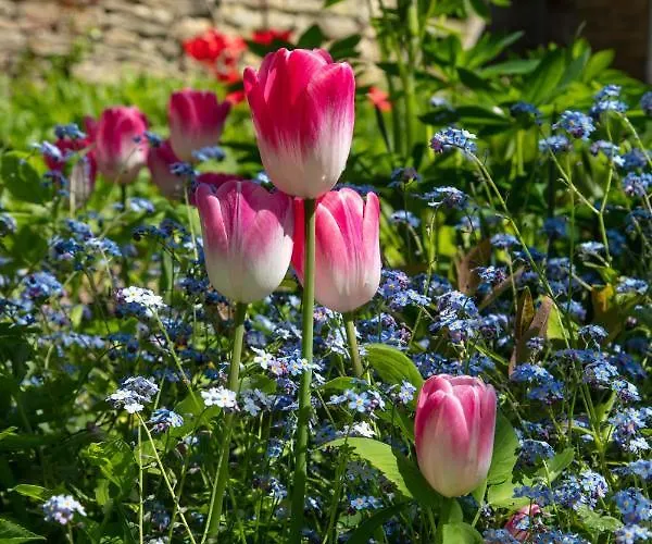 Cliff House Holiday home Ebberston
