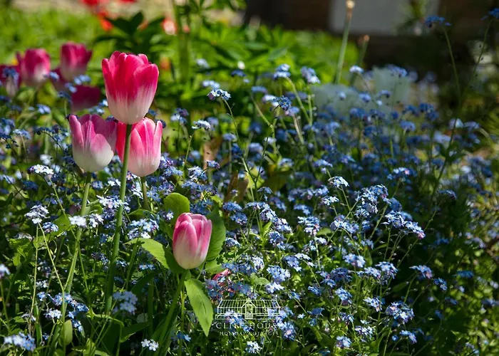 Cliff House Holiday home Ebberston