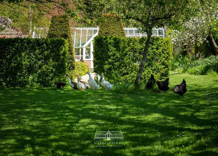 Cliff House Holiday home *