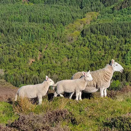 Cliff House Дом отдыха Ebberston