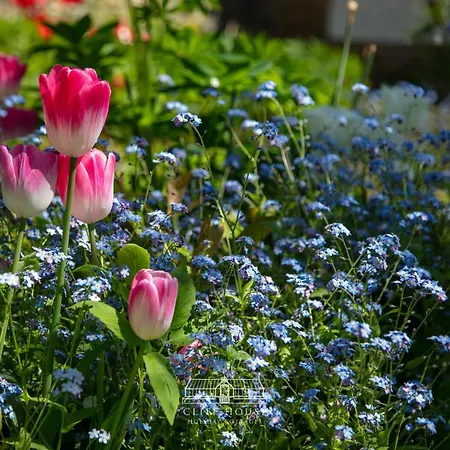 Cliff House Дом отдыха Ebberston