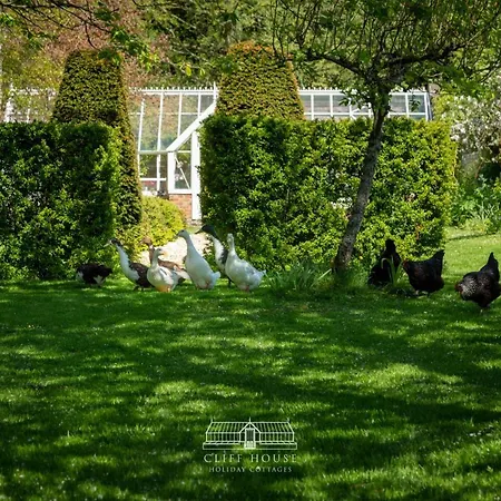 Cliff House Дом отдыха *